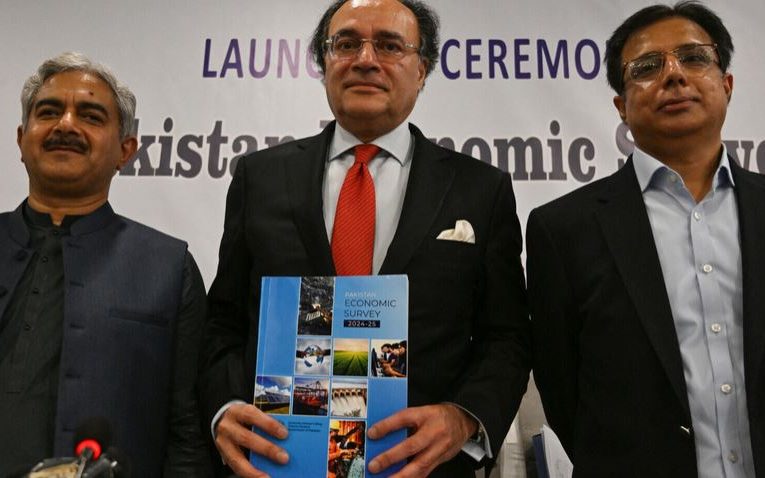 Pakistan’s Economic Survey 2024-25: Key Insights & Projections